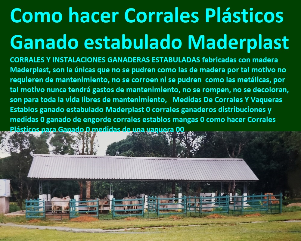 Medidas De Corrales Y Vaqueras Establos ganado estabulado Maderplast 0 corrales ganaderos distribuciones y medidas 0 ganado de engorde corrales establos mangas 0 como hacer Corrales Plásticos para Ganado 0 medidas de una vaquera 00 Medidas De Corrales Y Vaqueras Establos ganado estabulado Maderplast 0 corrales ganaderos distribuciones y medidas 0 Baules De Madera Plástica Maderplast 0, cajas organizadoras plasticas grandes 0, cajas organizadoras en tela 0, venta de baúles 0, cajas plasticas organizadoras ganado de engorde corrales establos mangas 0 como hacer Corrales Plásticos para Ganado 0 medidas de una vaquera 00